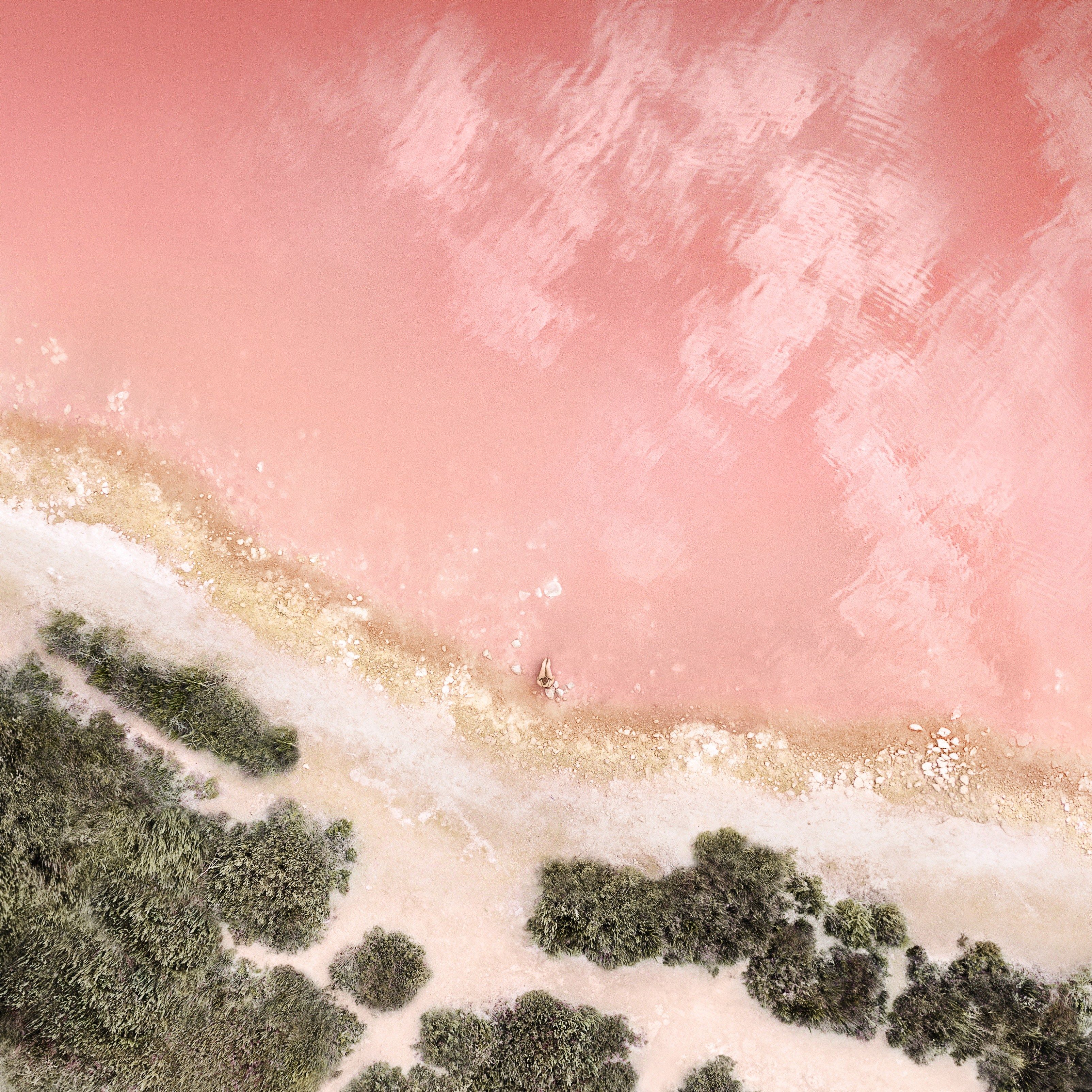 Apple Beach Wallpapers  Top Free Apple Beach Backgrounds  WallpaperAccess