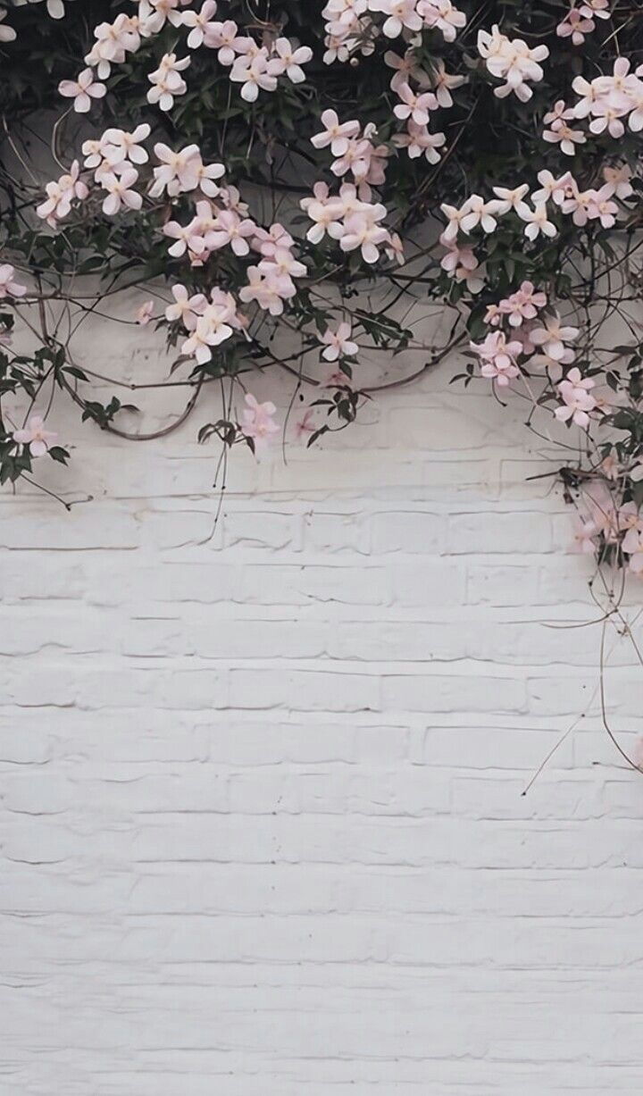 Featured image of post Aesthetic Gray Background Tumblr