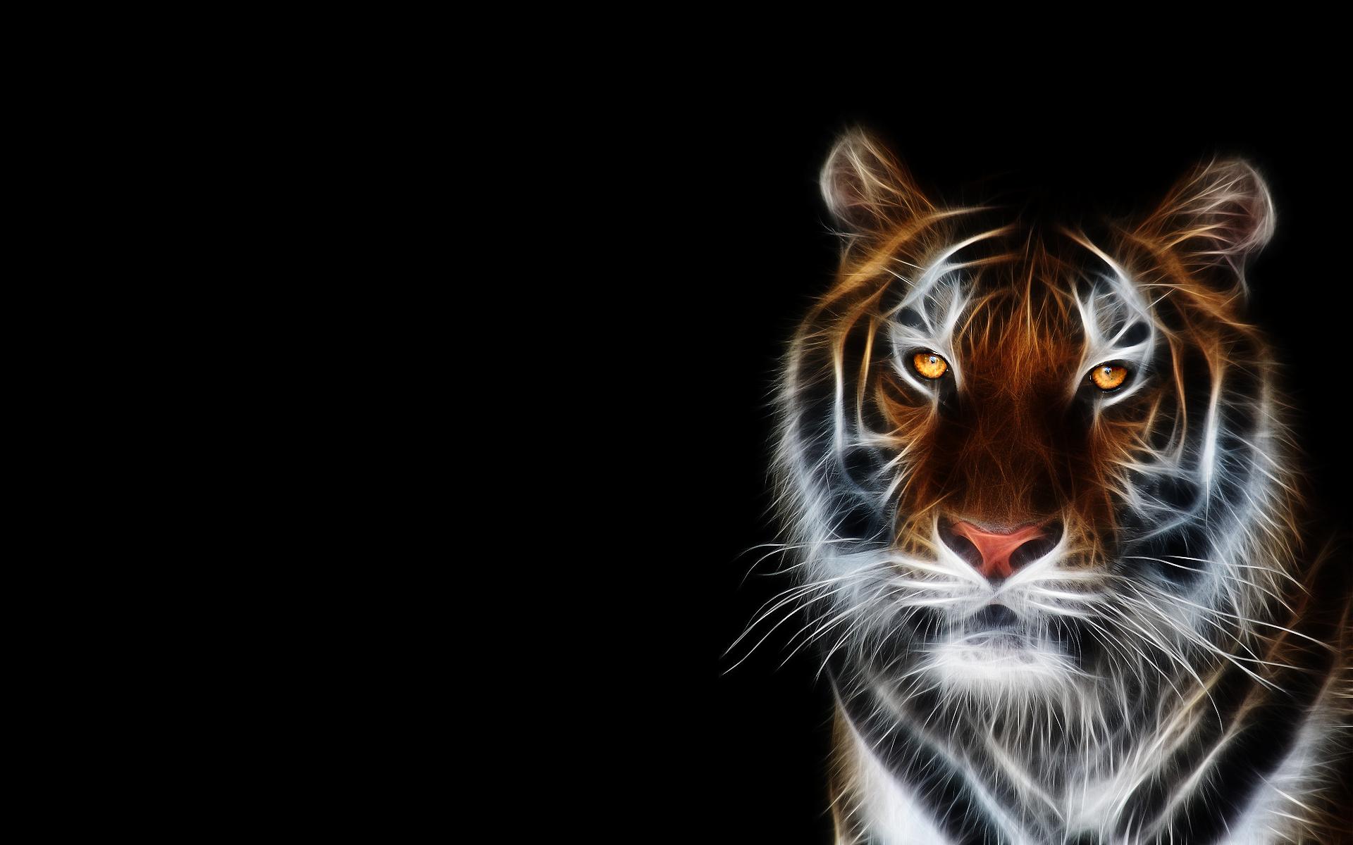 COOL TIGER wallpaper by hende09  Download on ZEDGE  8517