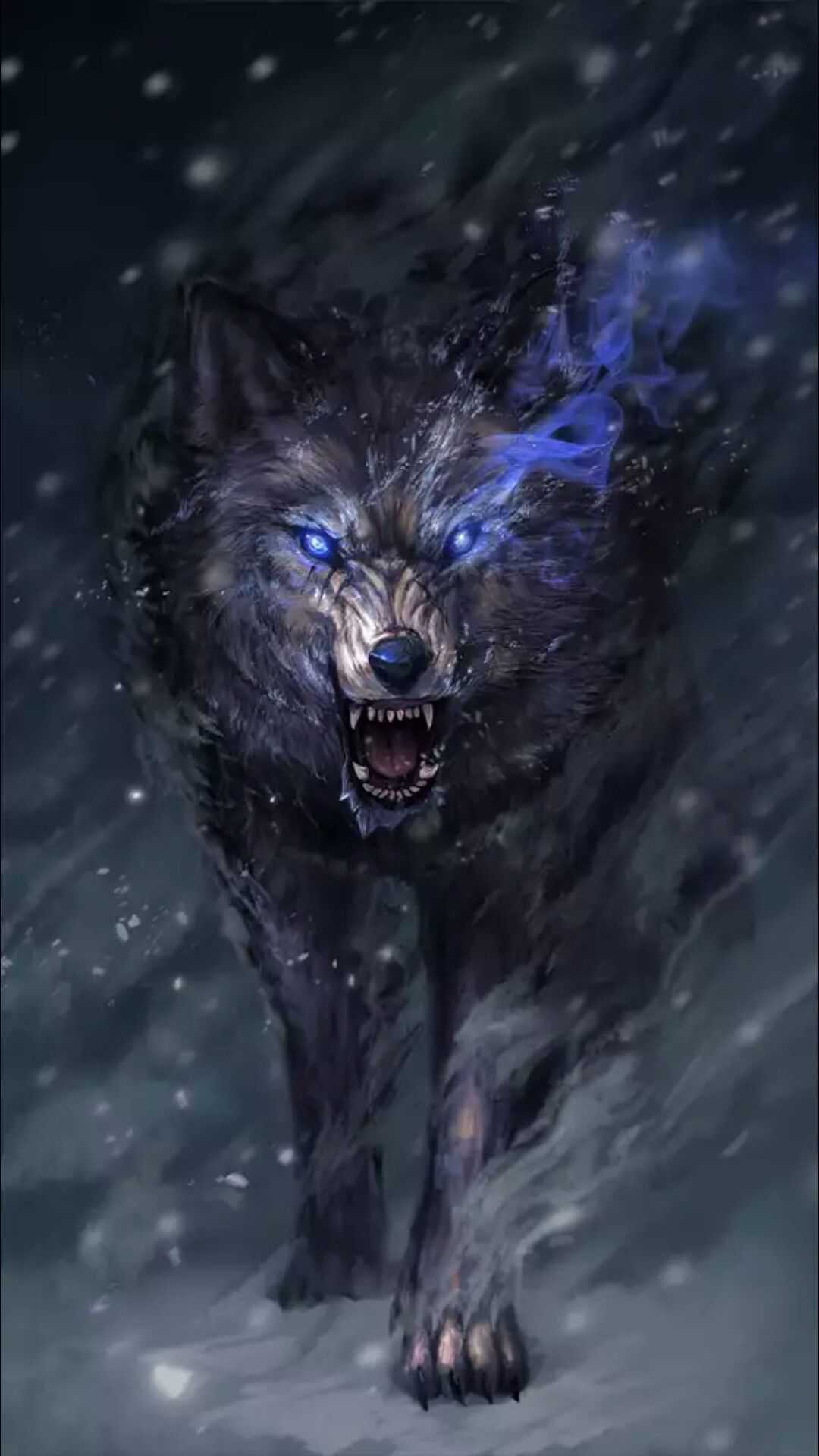 Angry Wolf Wallpapers HD  Wallpaper Cave