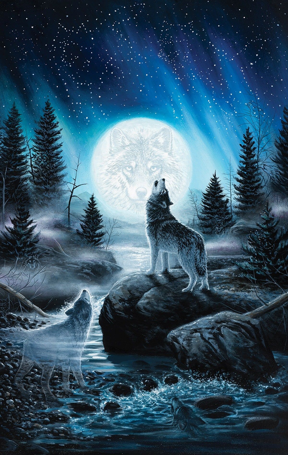 The Wolf among Stars Wallpaper Stock Illustration  Illustration of site  wallpaper 109634906