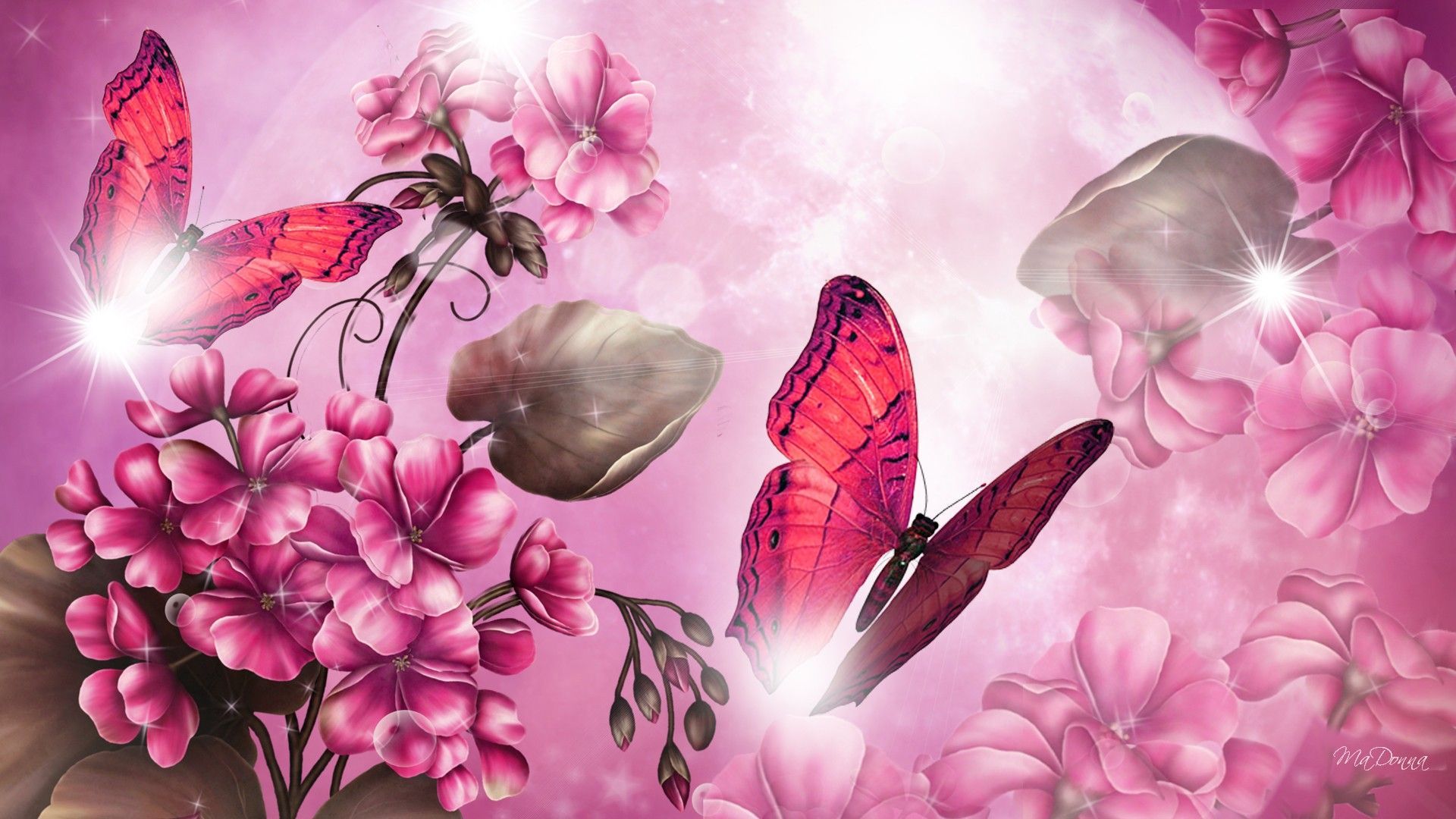 Download Diamond Butterfly Wallpapers On Wallpaperdog