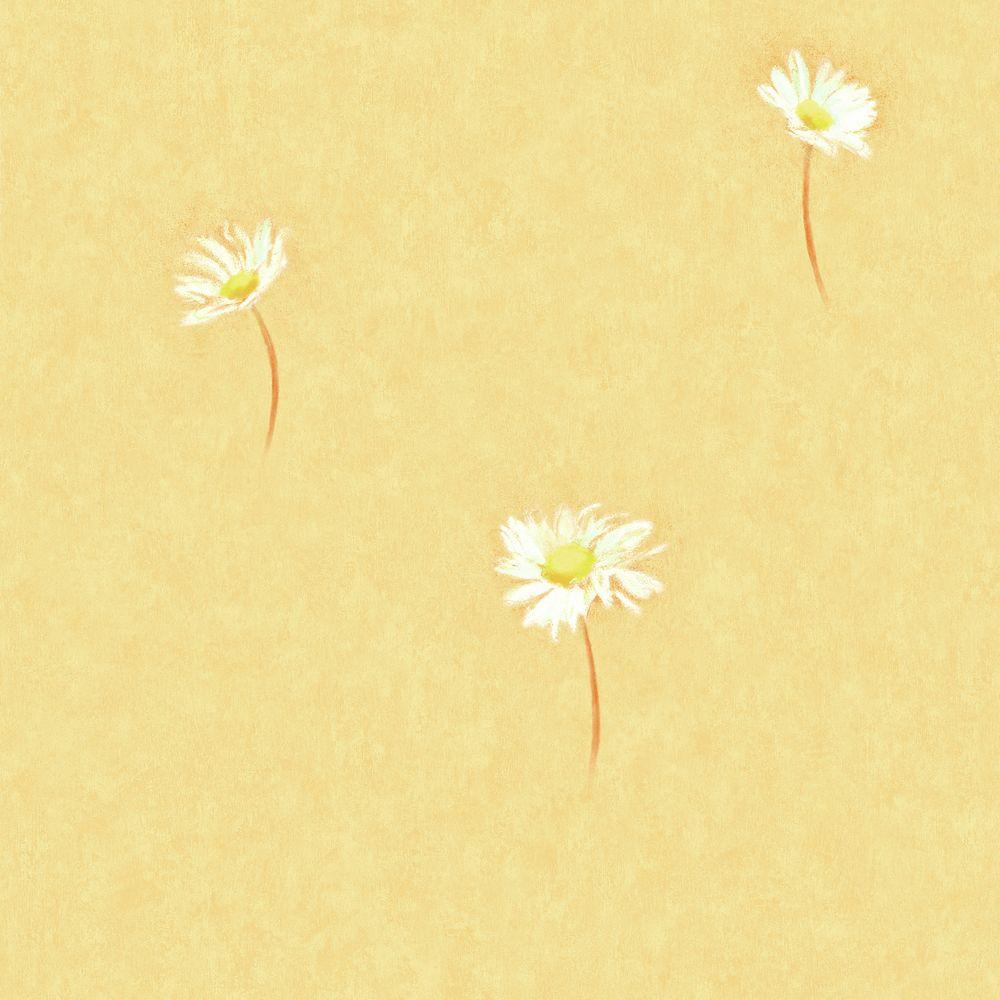 Yellow Daisy Wallpapers on WallpaperDog