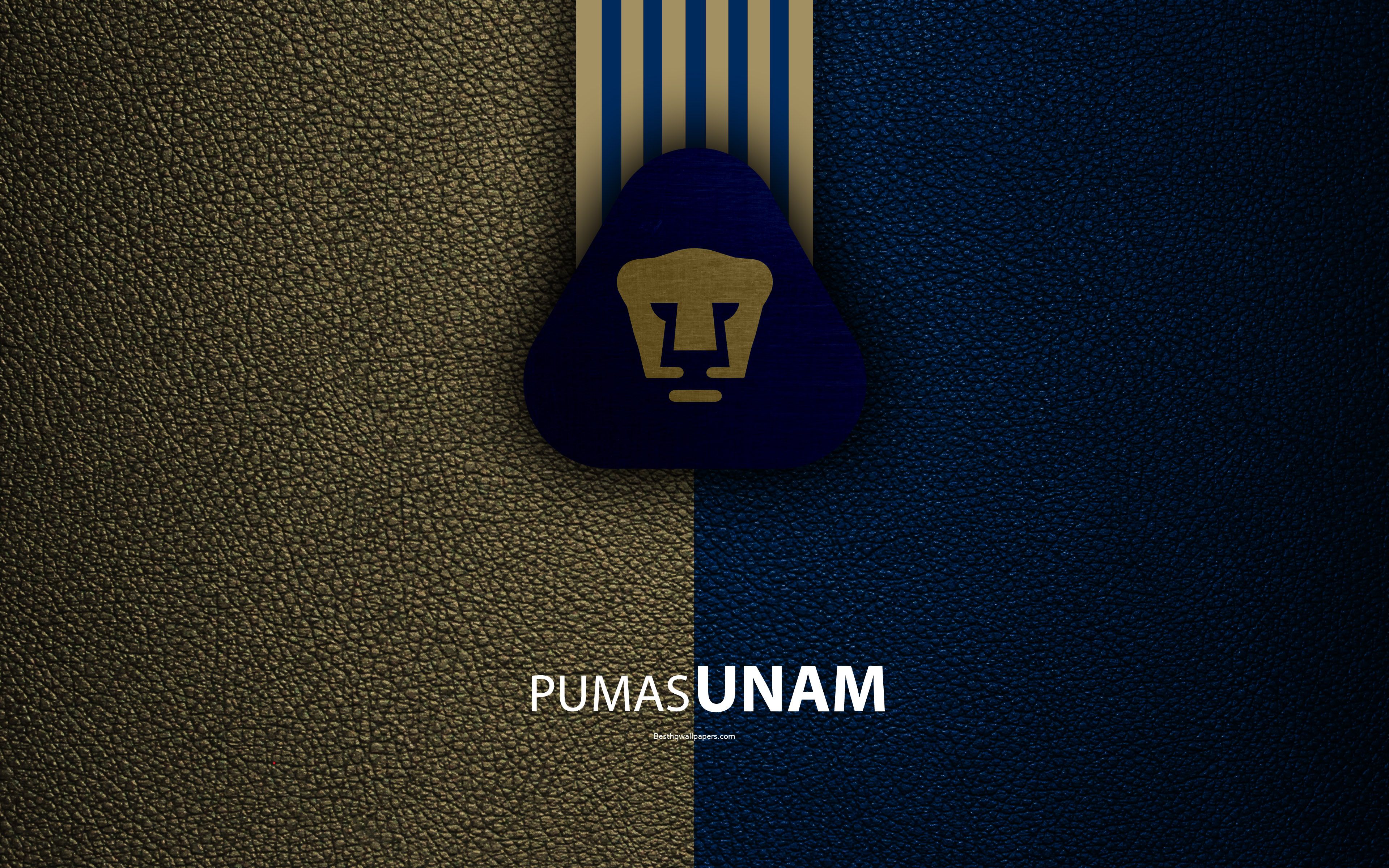 Pumas UNAM Wallpapers On WallpaperDog