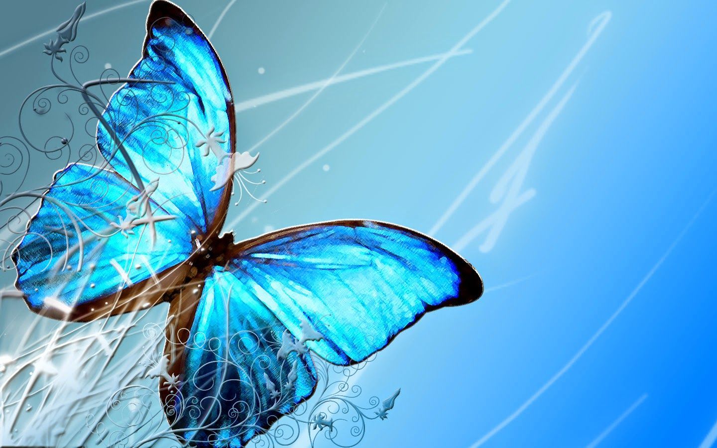 Butterfly Laptop Wallpapers  Wallpaper Cave