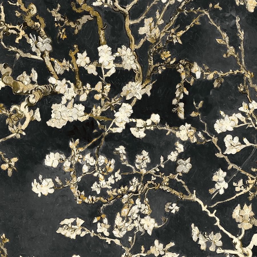 Black Chinoiserie Wallpapers on WallpaperDog