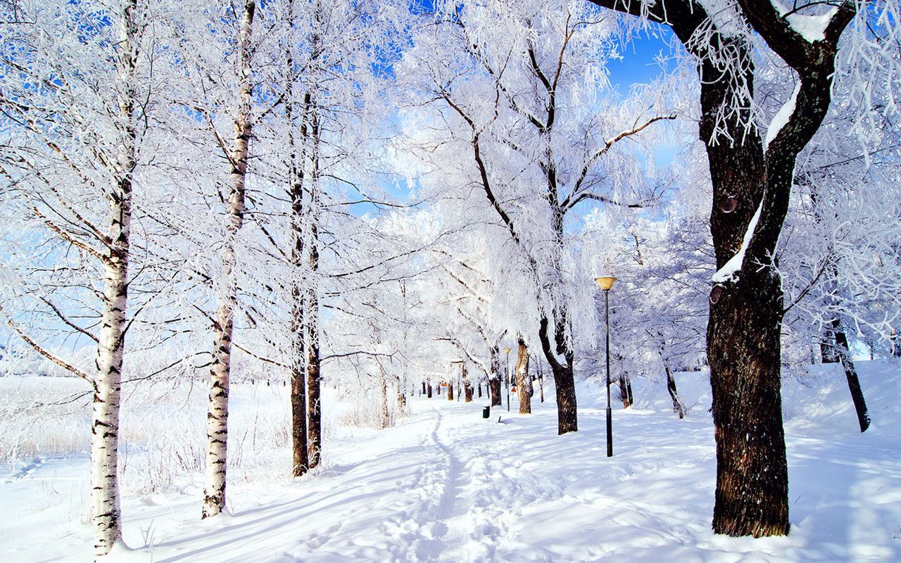 Winter Background Wallpaper  NawPic