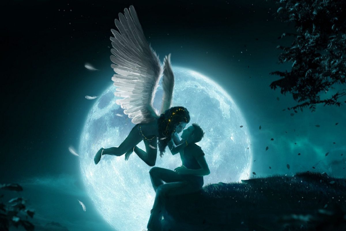 fairies in love