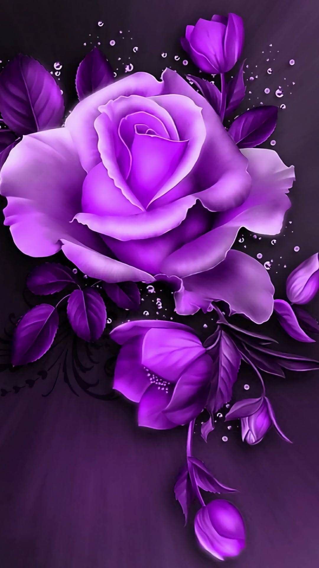 Hình nền hoa hồng tím đẹp mắt sẽ làm bạn say đắm với sự tinh tế, độc đáo và quyến rũ của những bông hoa này. Hãy truy cập để xem những bức ảnh này và cảm nhận sự đẳng cấp, sang trọng của các bông hoa hồng tím.