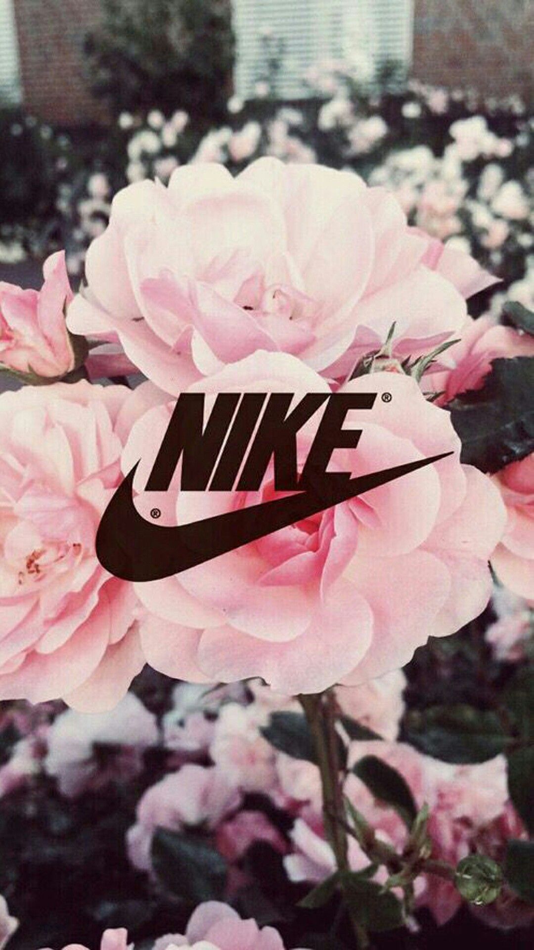 Pink Nike Wallpapers  Top Free Pink Nike Backgrounds  WallpaperAccess