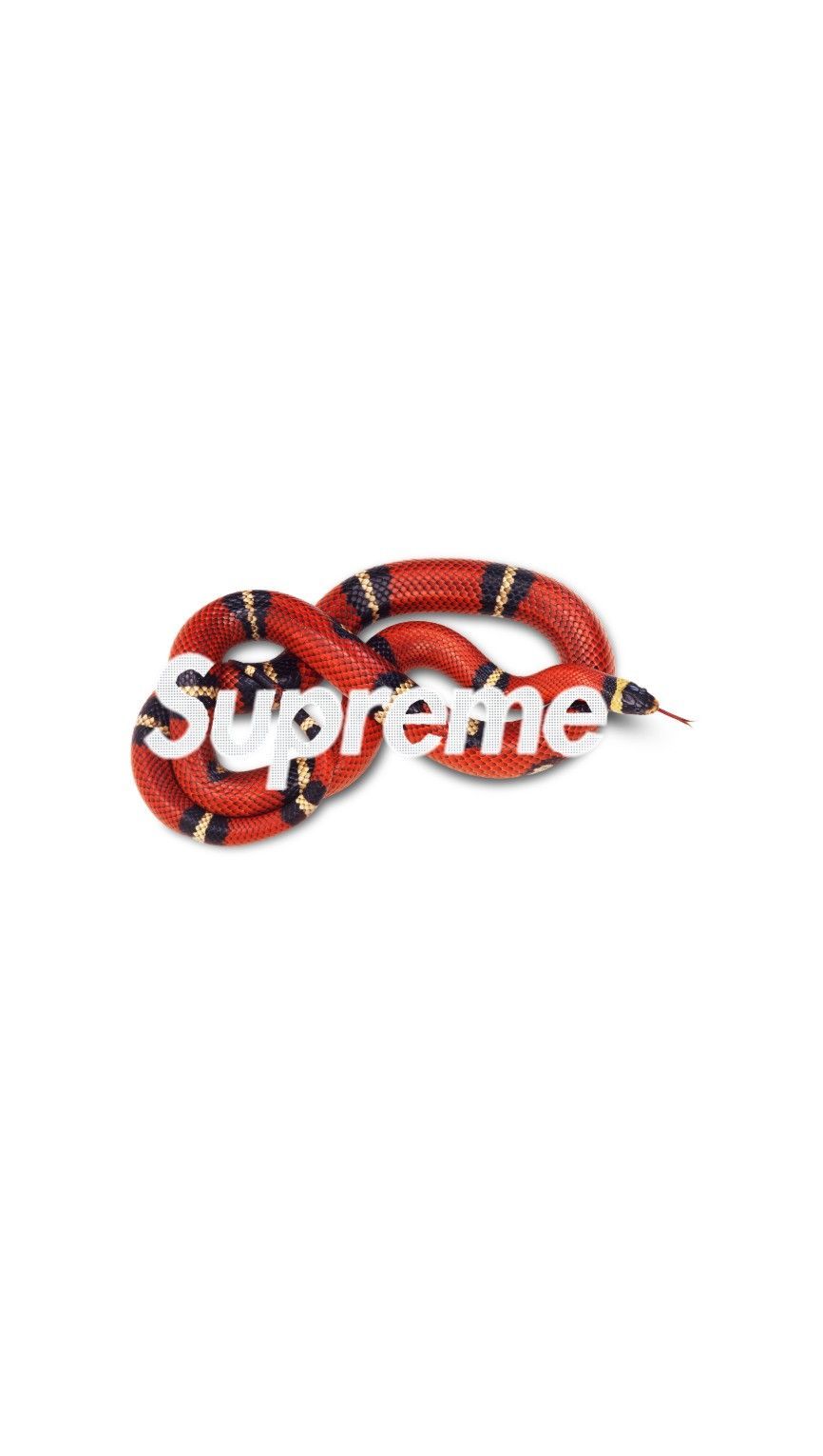 gucci supreme snake