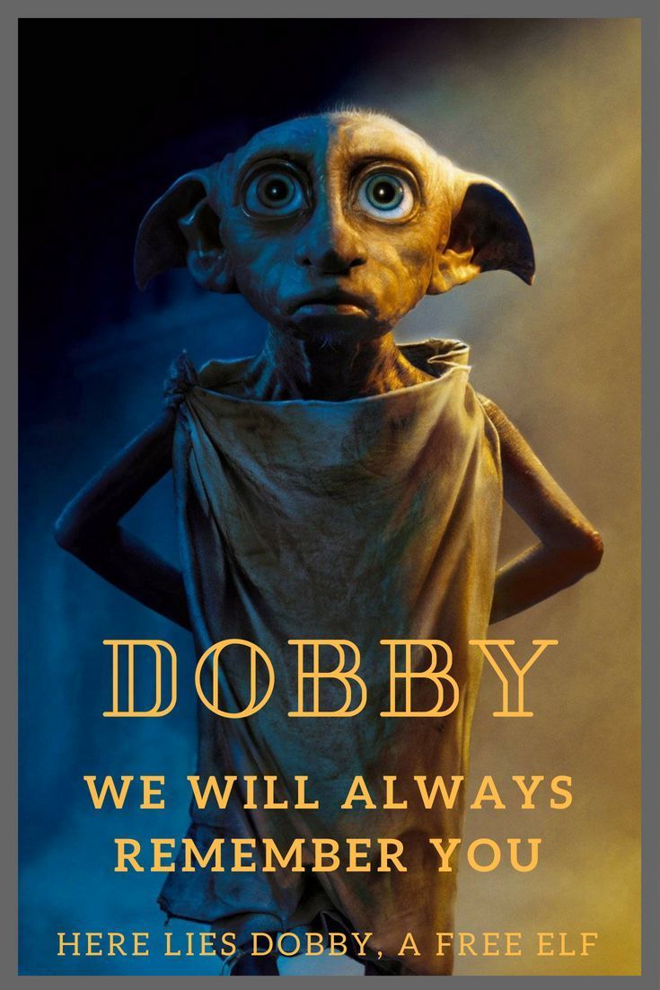Dobby Is Free Quote
