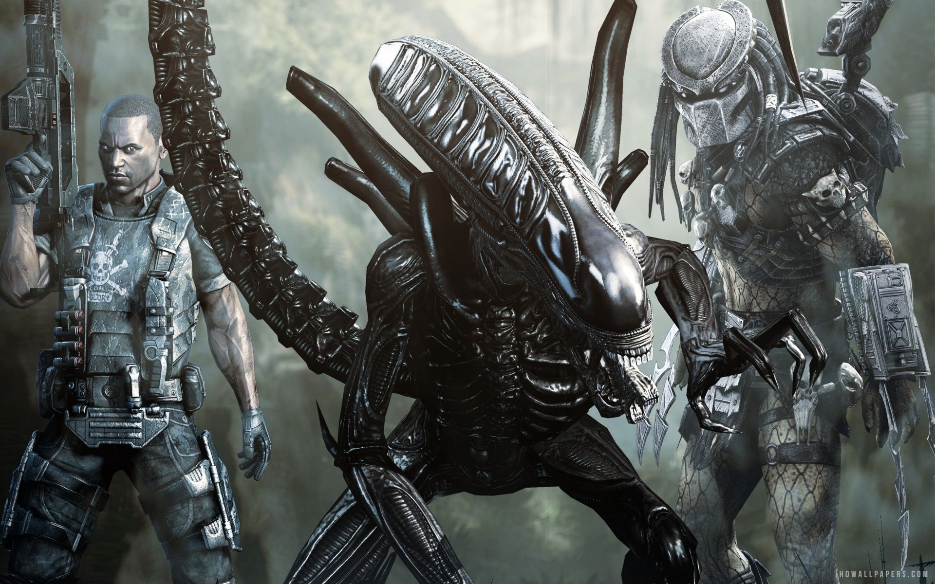 Alien vs Predator Wallpapers - Top Free Alien vs Predator Backgrounds -  WallpaperAccess