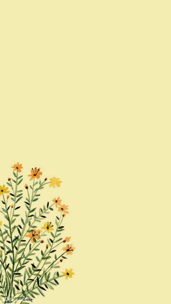 Free download Cute Plant Wallpapers HD  PixelsTalkNet