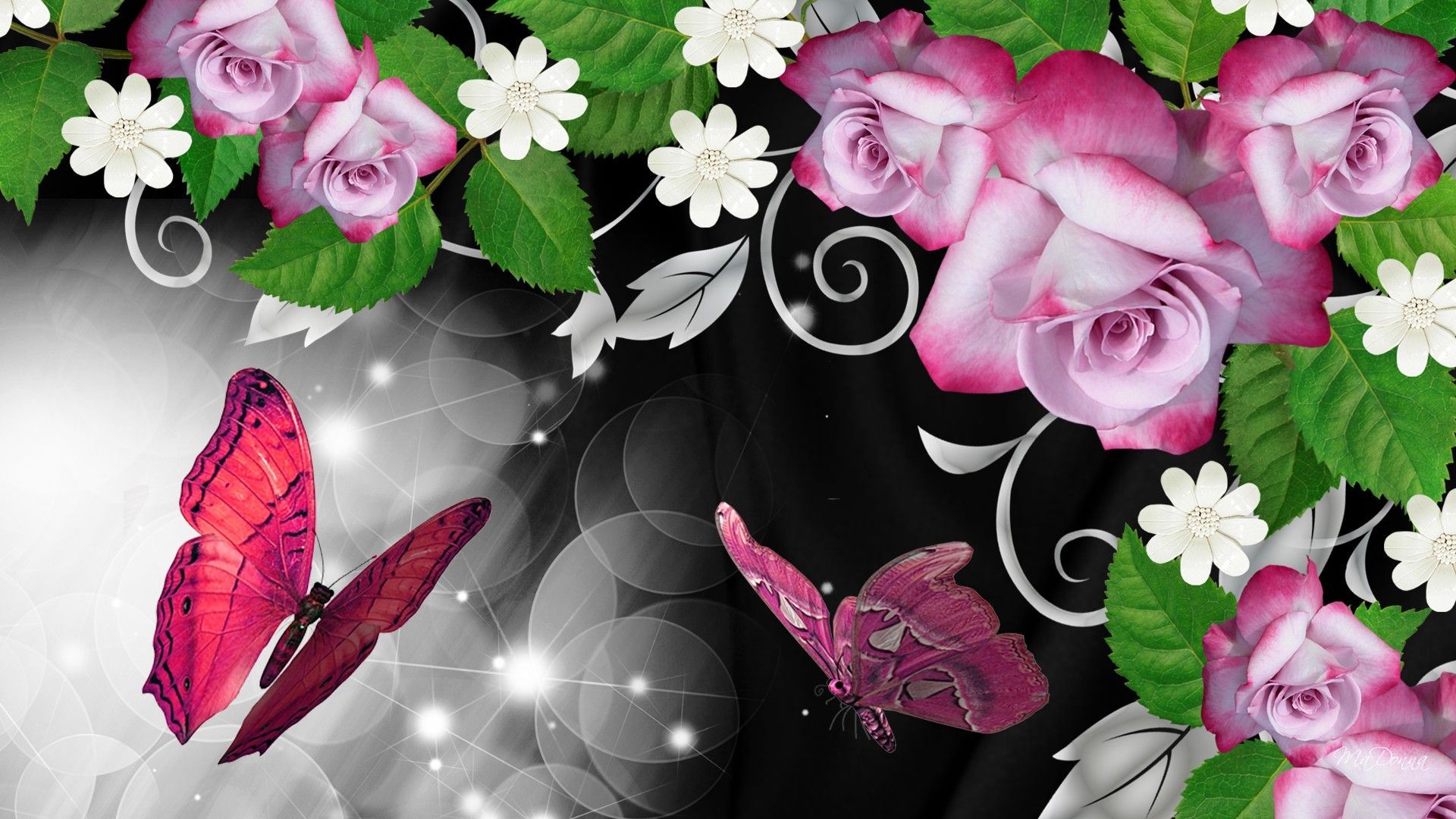 Фон на телефон красивые цветы. Фон с цветами. Красивые цветы и бабочки. Красивый фон цветы. Красивые обложки для одноклассников.