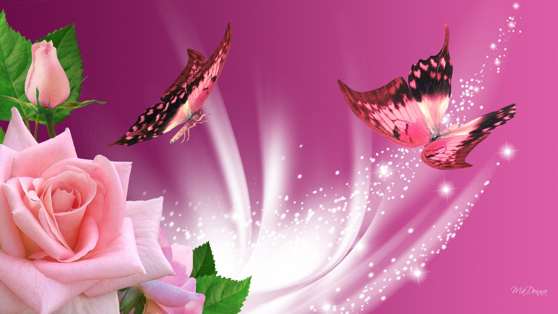 29 Roses Butterfly Wallpapers  WallpaperSafari
