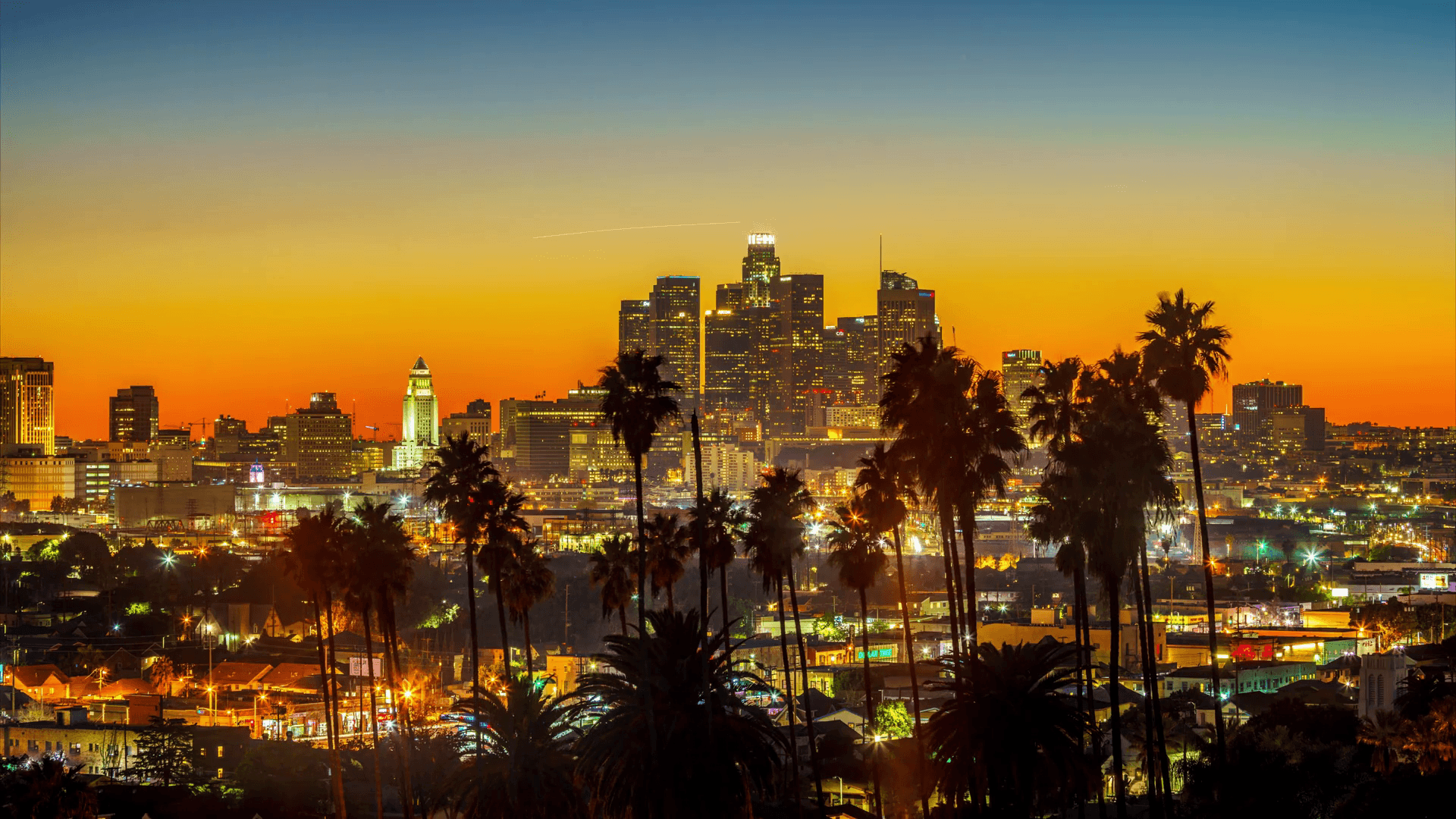 Los Angeles Palm Trees Wallpapers on WallpaperDog