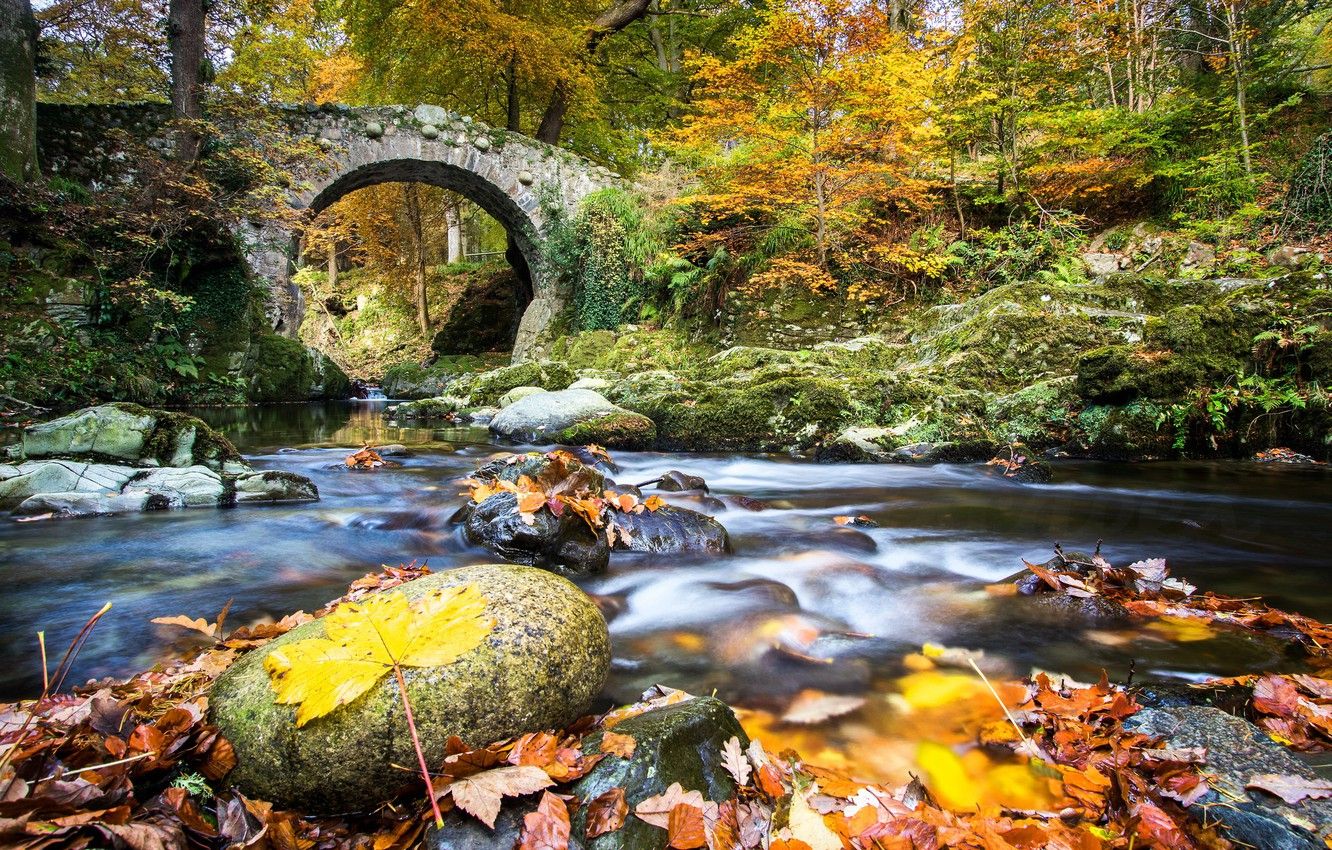 Autumn In Ireland Wallpapers On Wallpaperdog