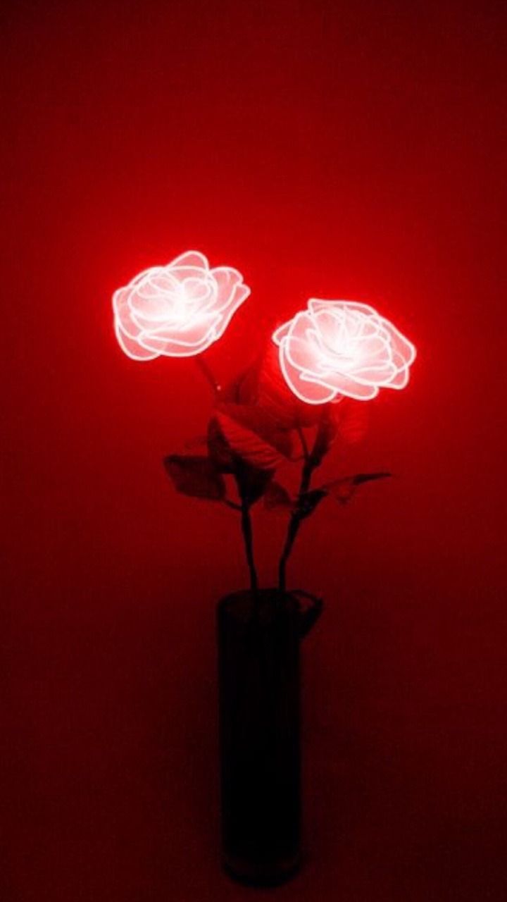 Red rose aesthetic dark Aesthetic Dark