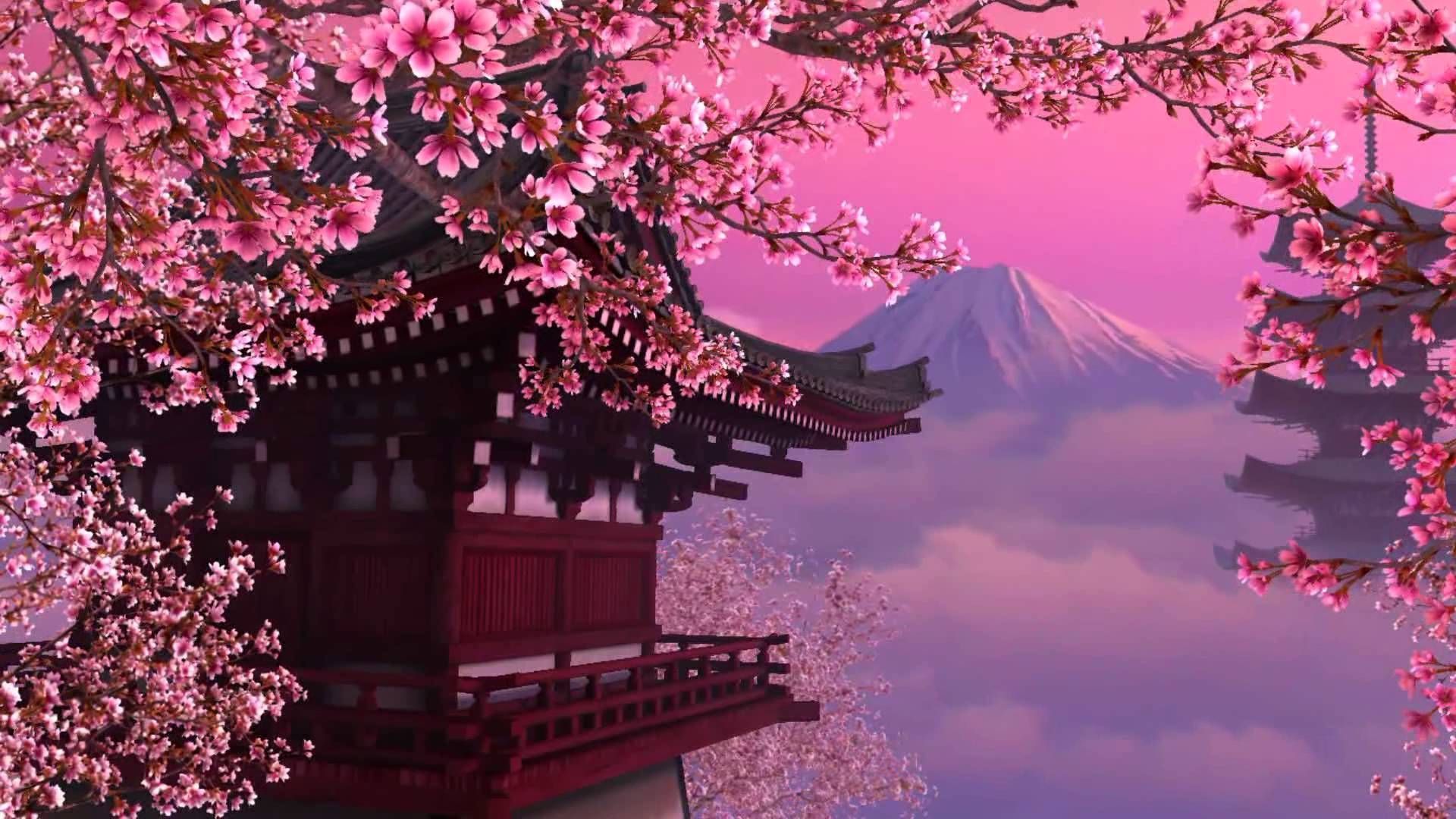 Japanese Cherry Blossom Wallpapers on WallpaperDog