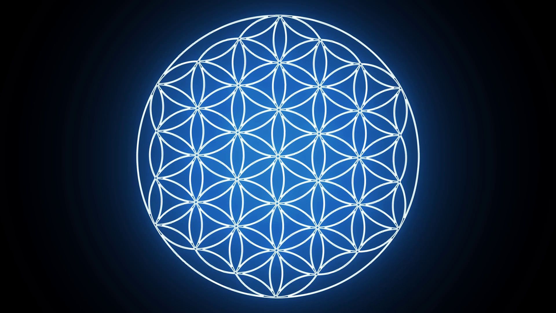 Flower Of Life Wallpapers On Wallpaperdog It could be for meditation, peace within your home, creativity, positive energy. flower of life wallpapers on wallpaperdog