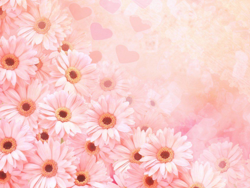Pink Flower Wallpapers  Top Free Pink Flower Backgrounds  WallpaperAccess