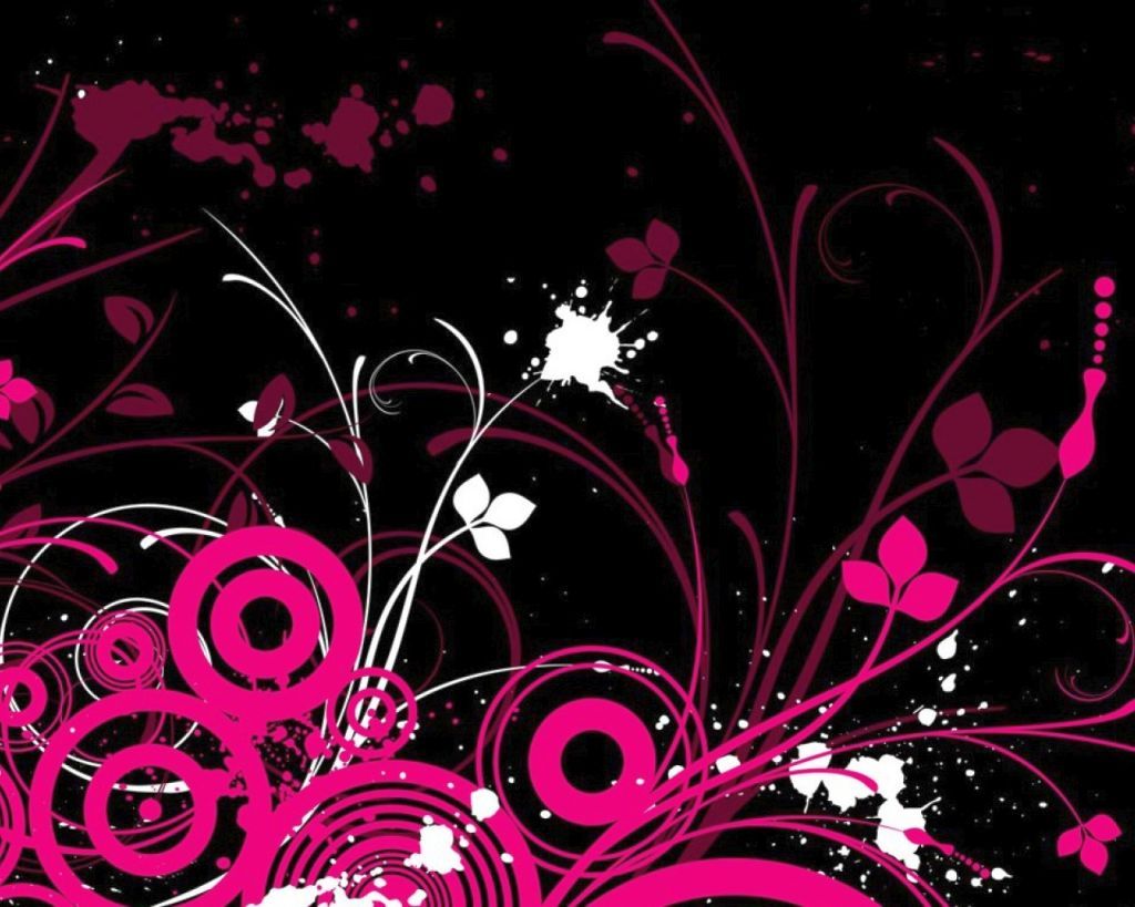 Black and Pink Rose Wallpapers on WallpaperDog