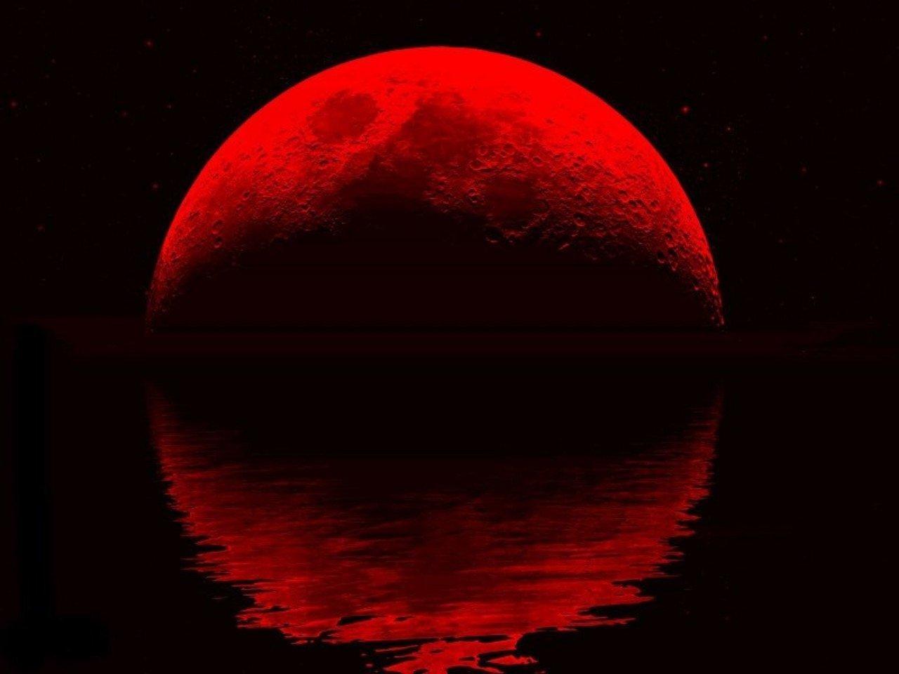 Blood Red Moon Wallpapers on WallpaperDog