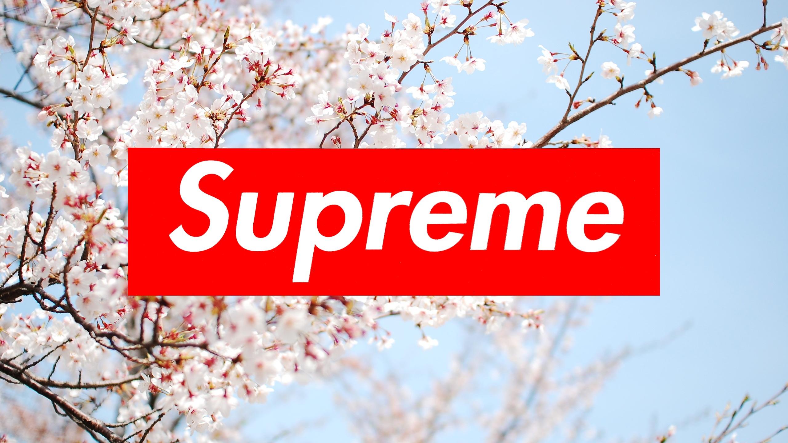 Supreme Odd Future Wallpapers on WallpaperDog