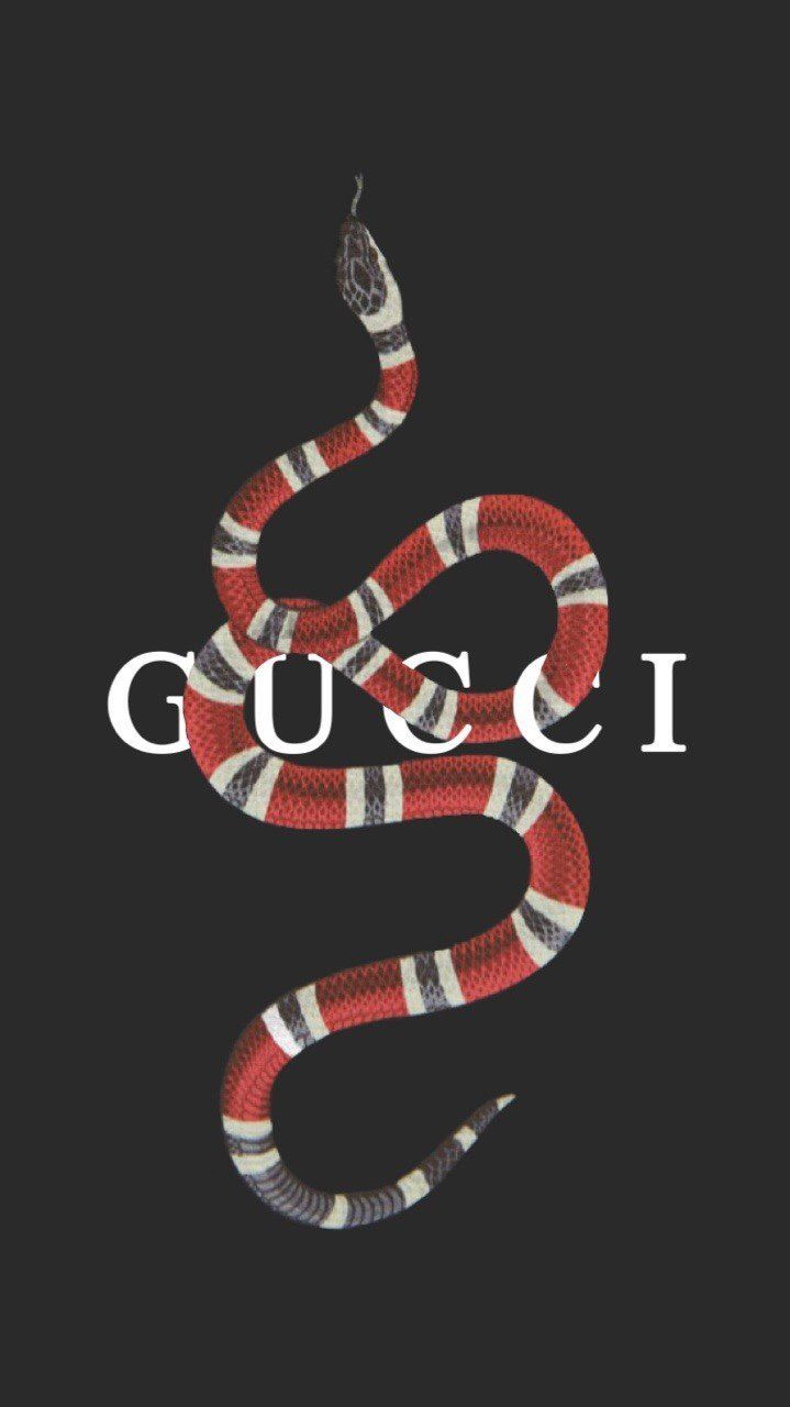 Gucci Iphone 6 Wallpapers On Wallpaperdog