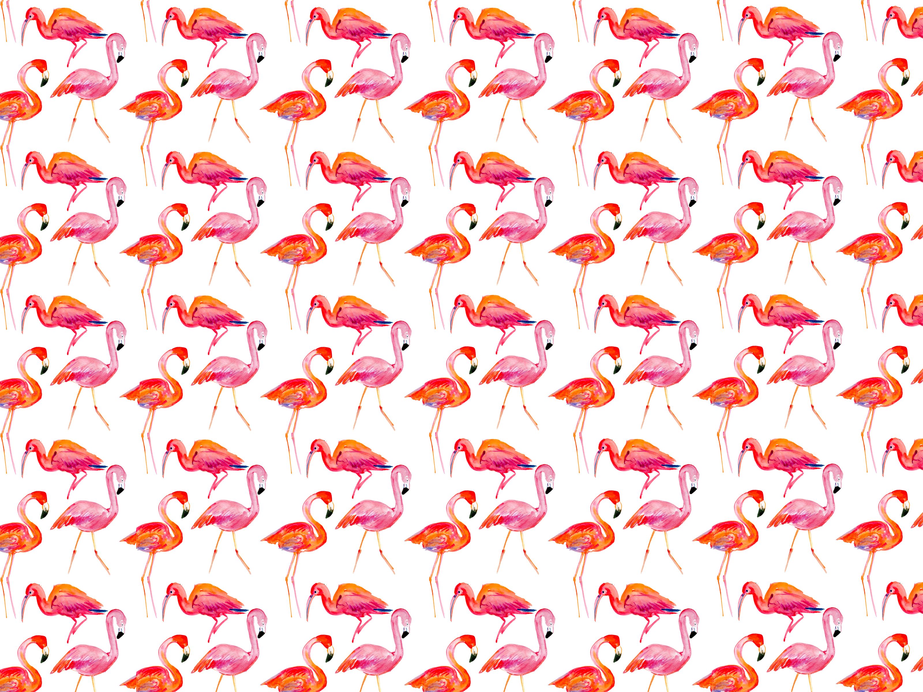 Kate Spade Desktop Wallpapers On Wallpaperdog