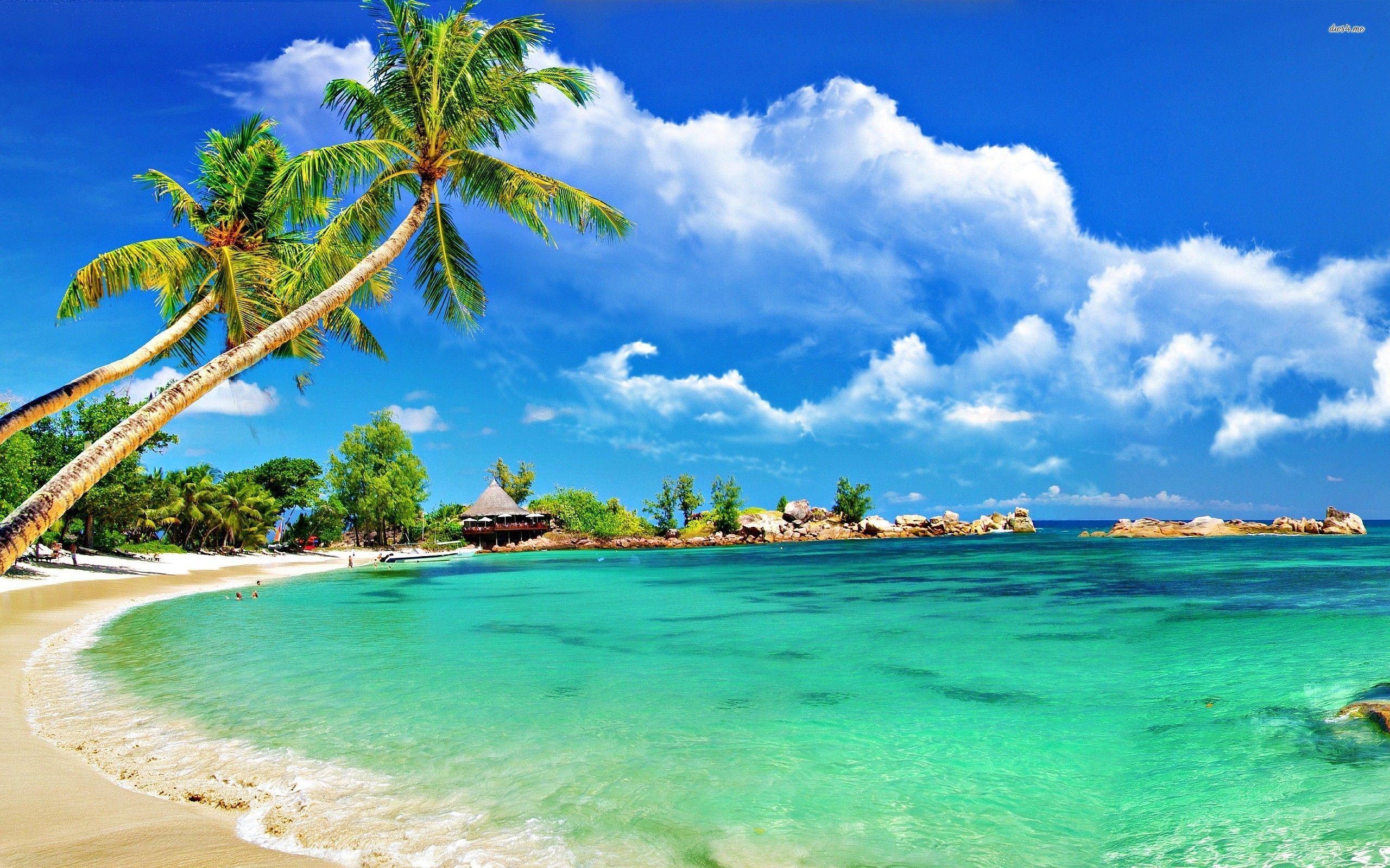 Colorful Tropical Beaches Desktop Wallpapers on WallpaperDog
