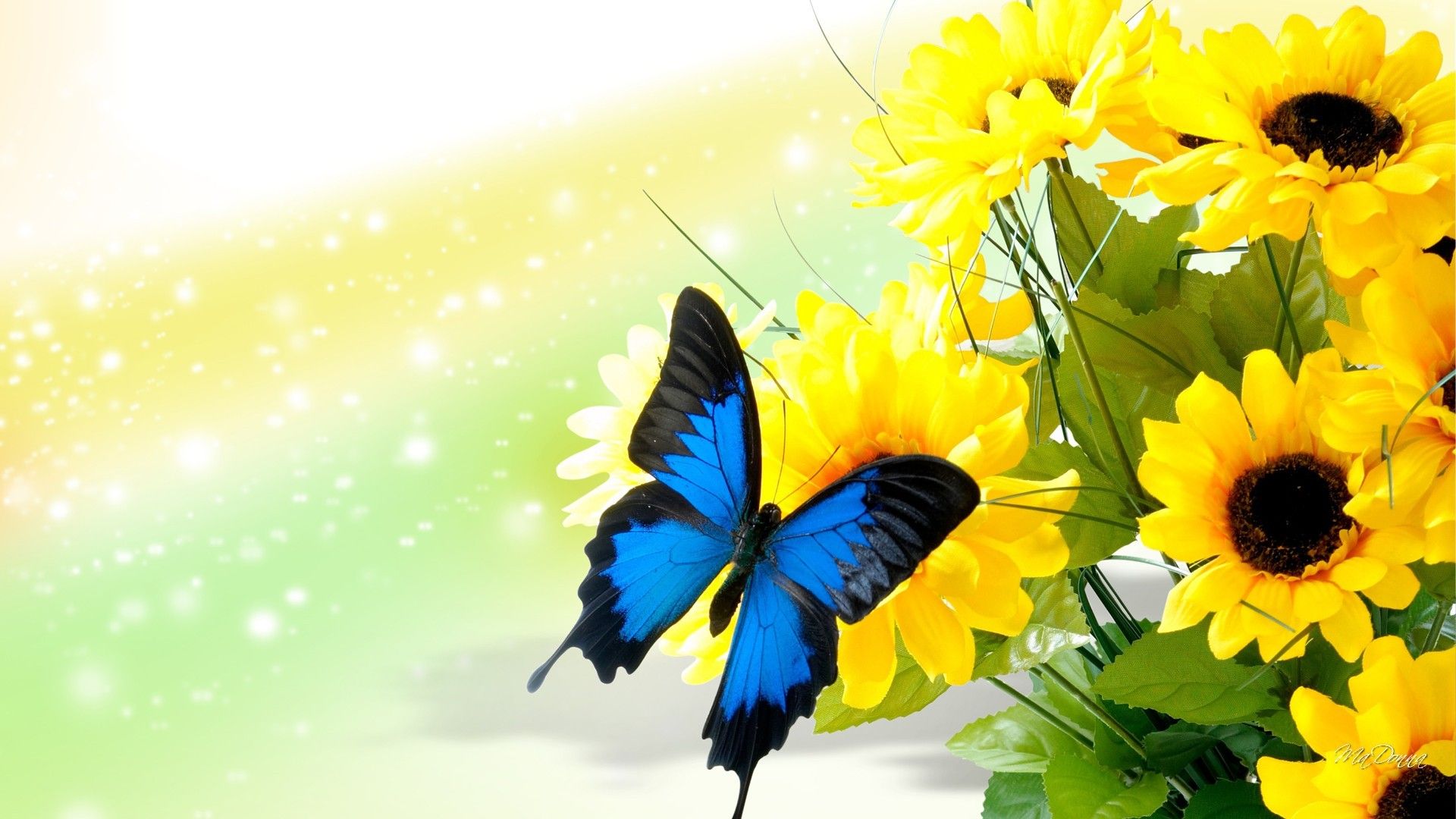 Sunflowers and Butterflies Wallpapers.