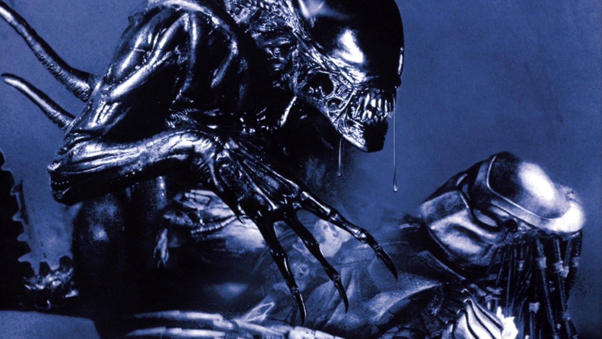 Wallpaper alien, Predator, Predator for mobile and desktop