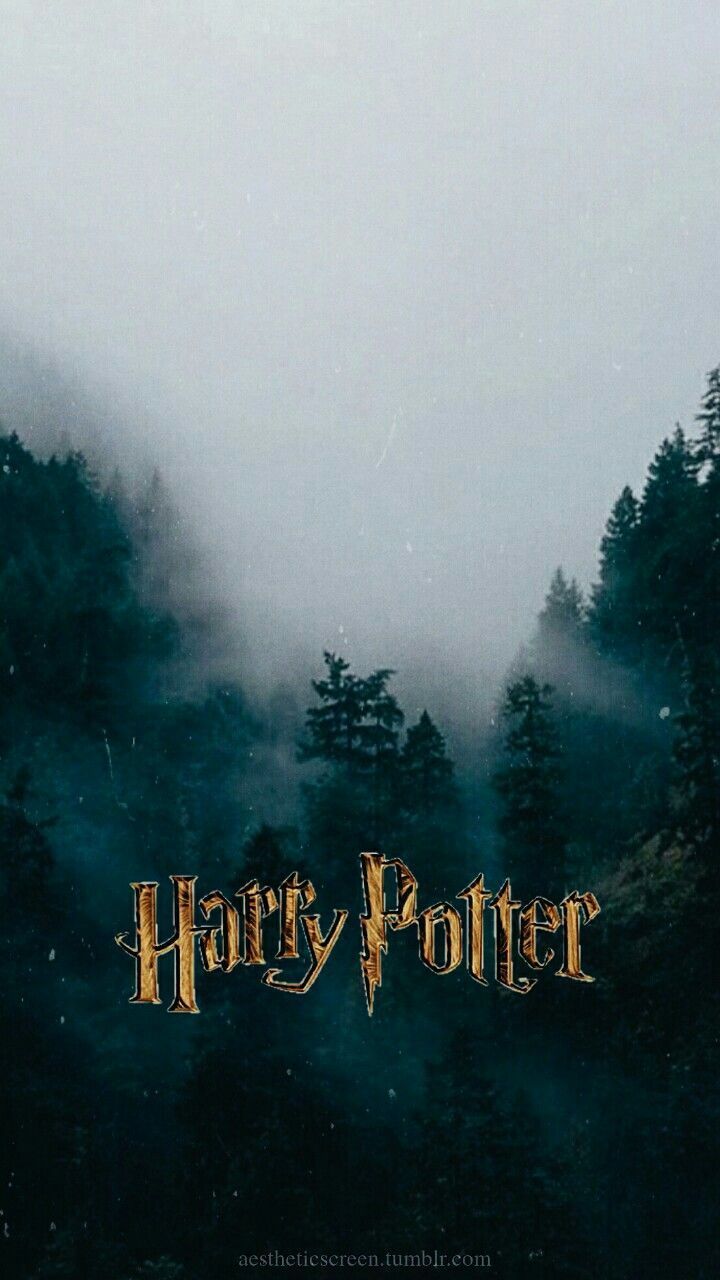 Love Harry Potter Wallpapers on WallpaperDog