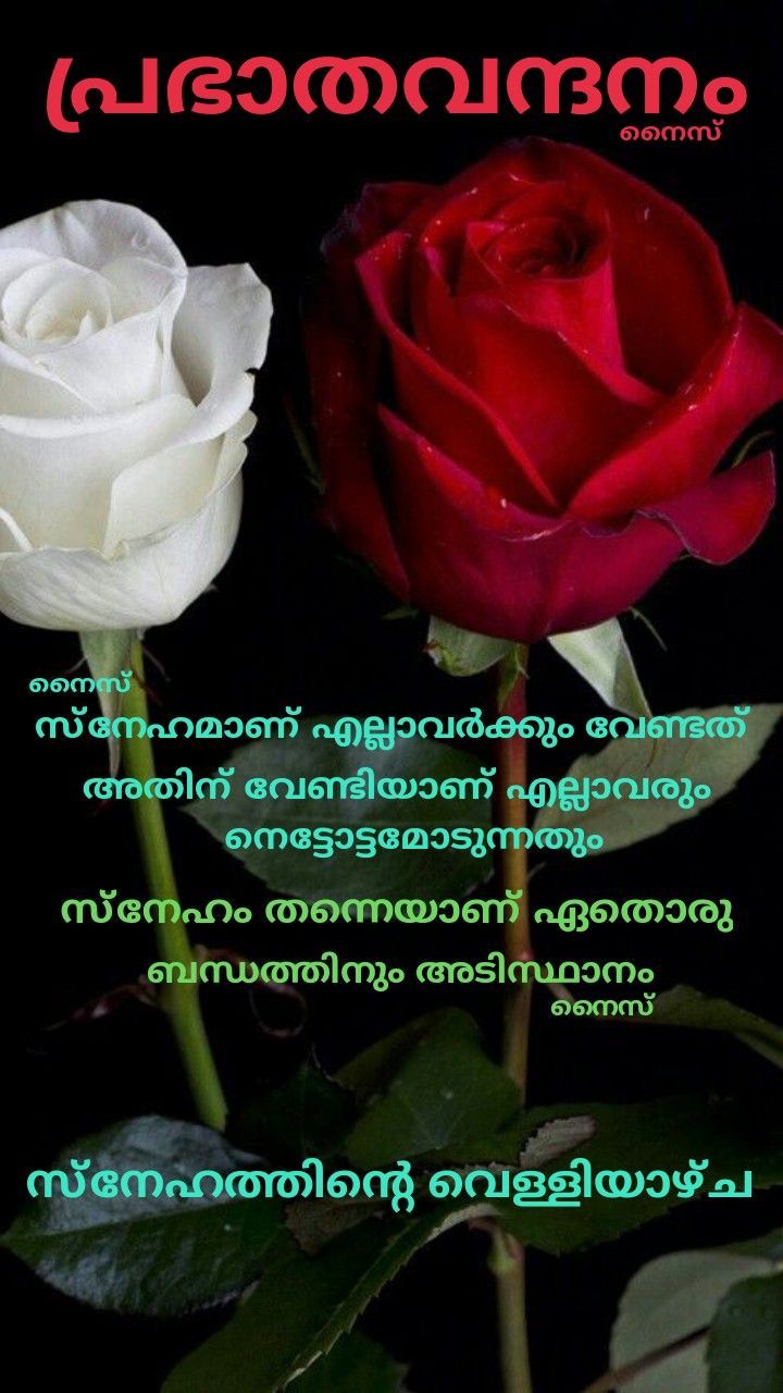 Malayalam Romantic Good Morning Wallpapers on WallpaperDog