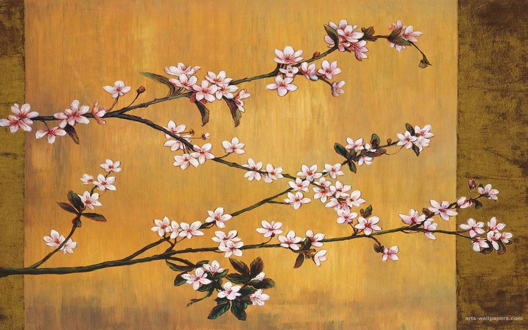 japanese cherry blossom wallpaper designs