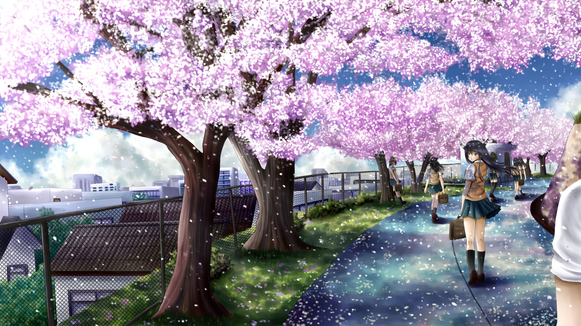 Cherry Blossom Art Wallpapers on WallpaperDog