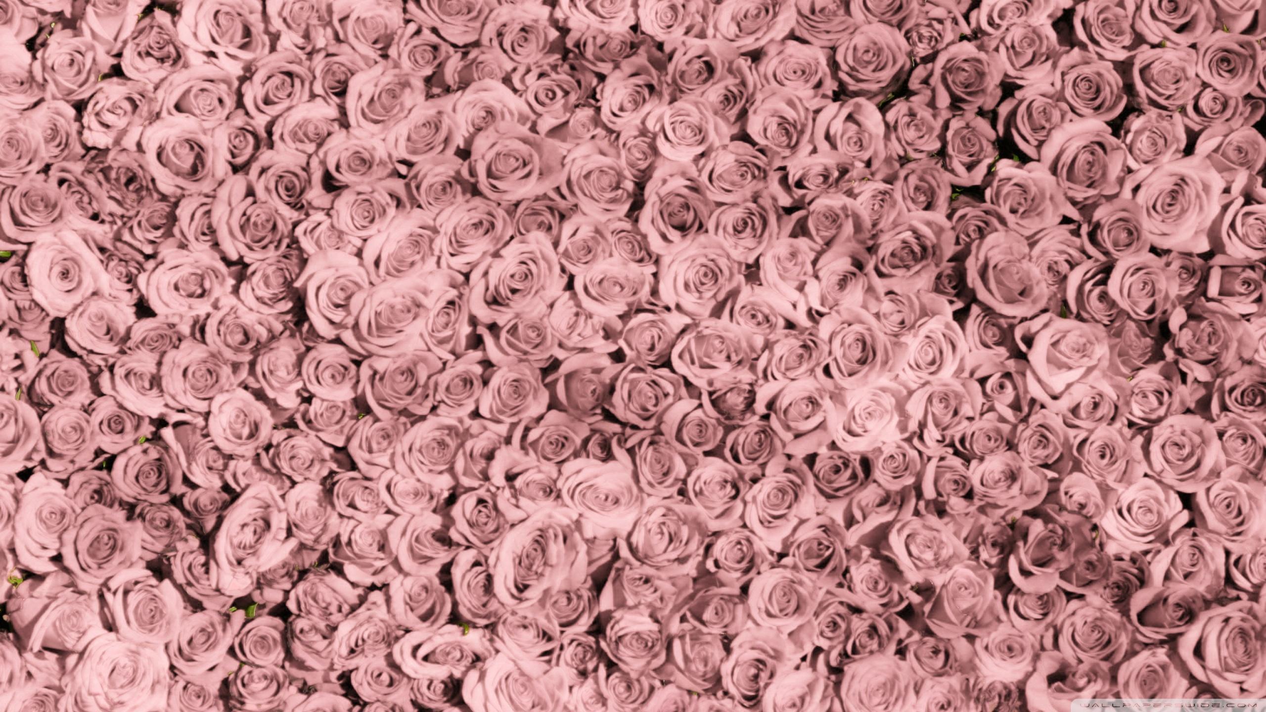 Rose Gold Aesthetic 2560x1440 Wallpapers On Wallpaperdog Rose gold aesthetic background laptop. rose gold aesthetic 2560x1440