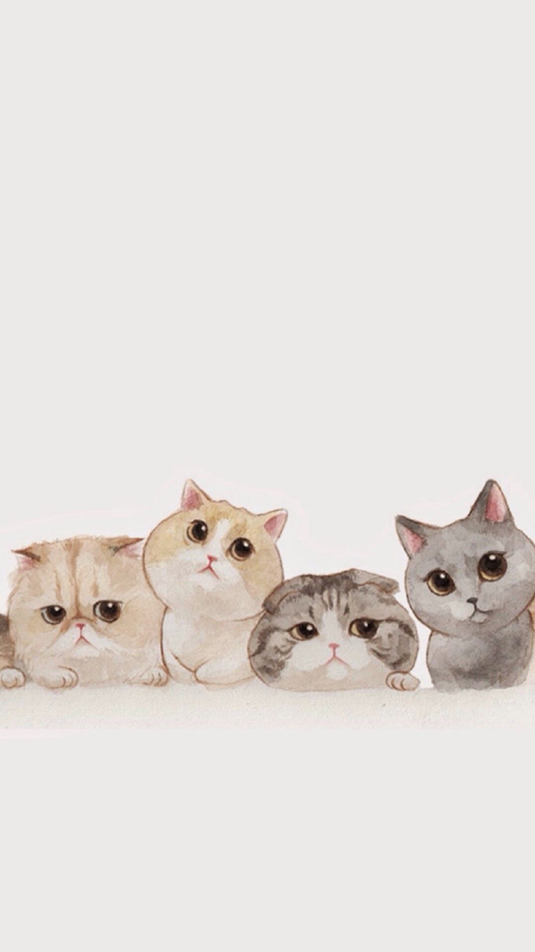 Cute Cat IPhone Wallpaper 87 images