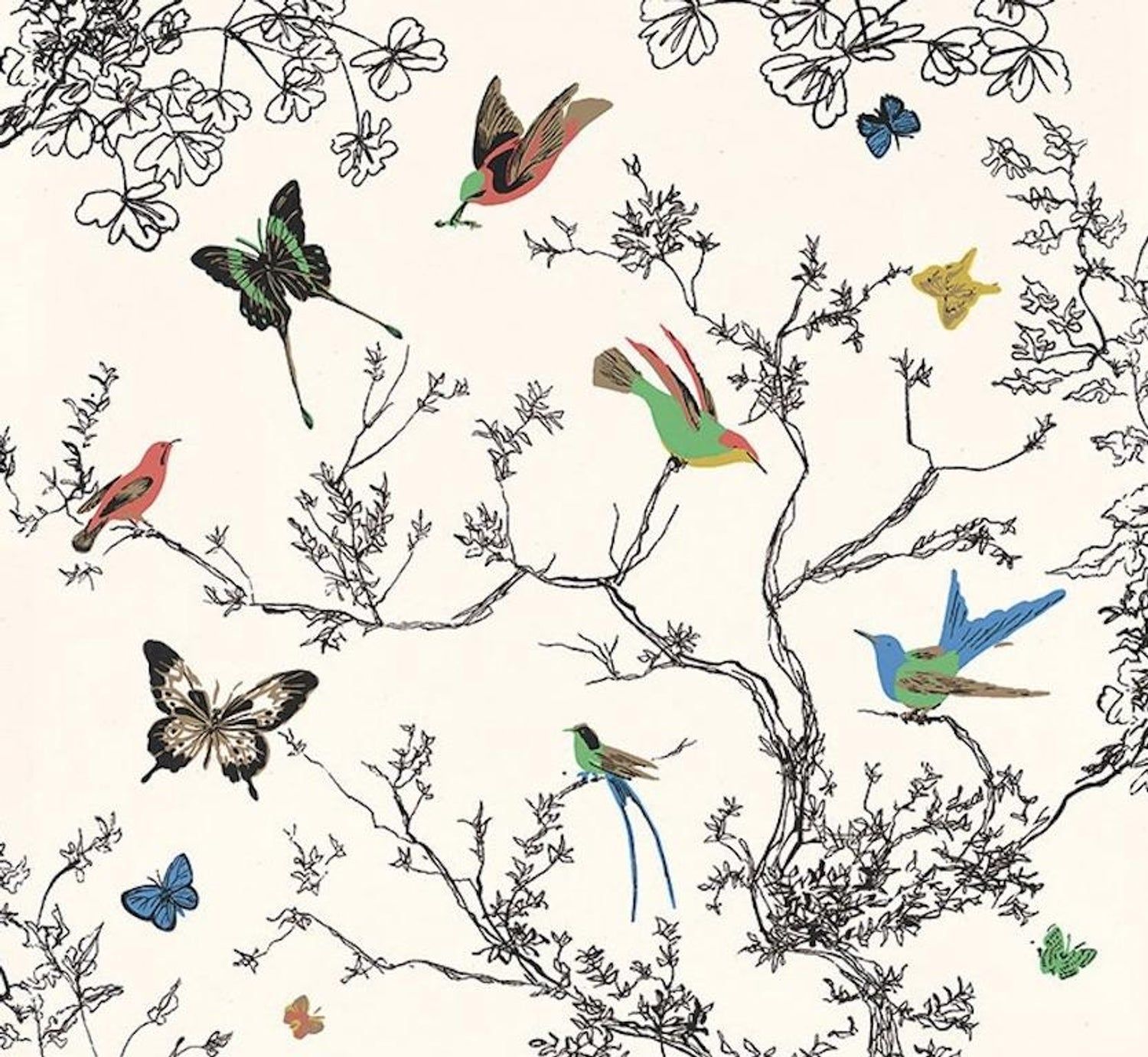 Birds and Butterflies Wallpapers on WallpaperDog