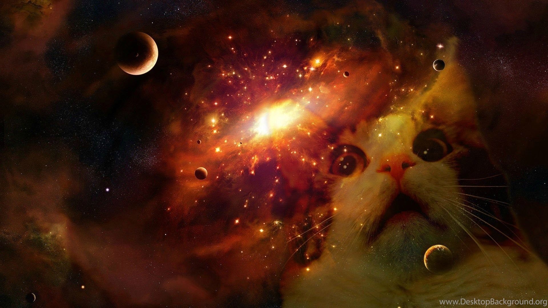 Space Cat Wallpapers - Wallpaper Cave