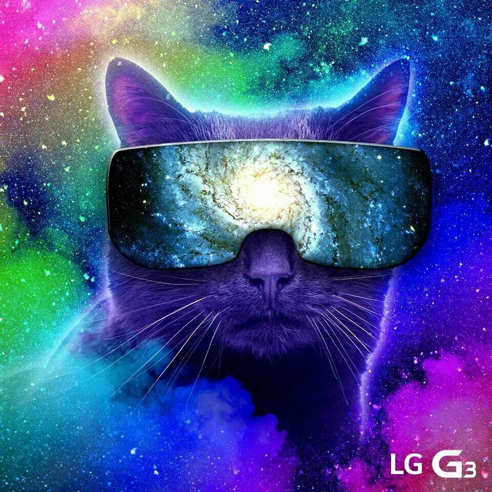 Space Cat IPhone Cats in Space HD phone wallpaper  Pxfuel