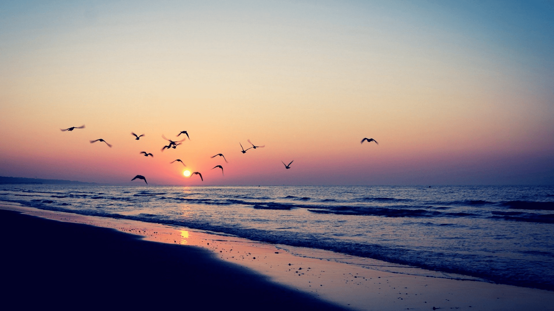 20 Choices Cute Wallpaper Aesthetic Sunset You Can Get It Free
