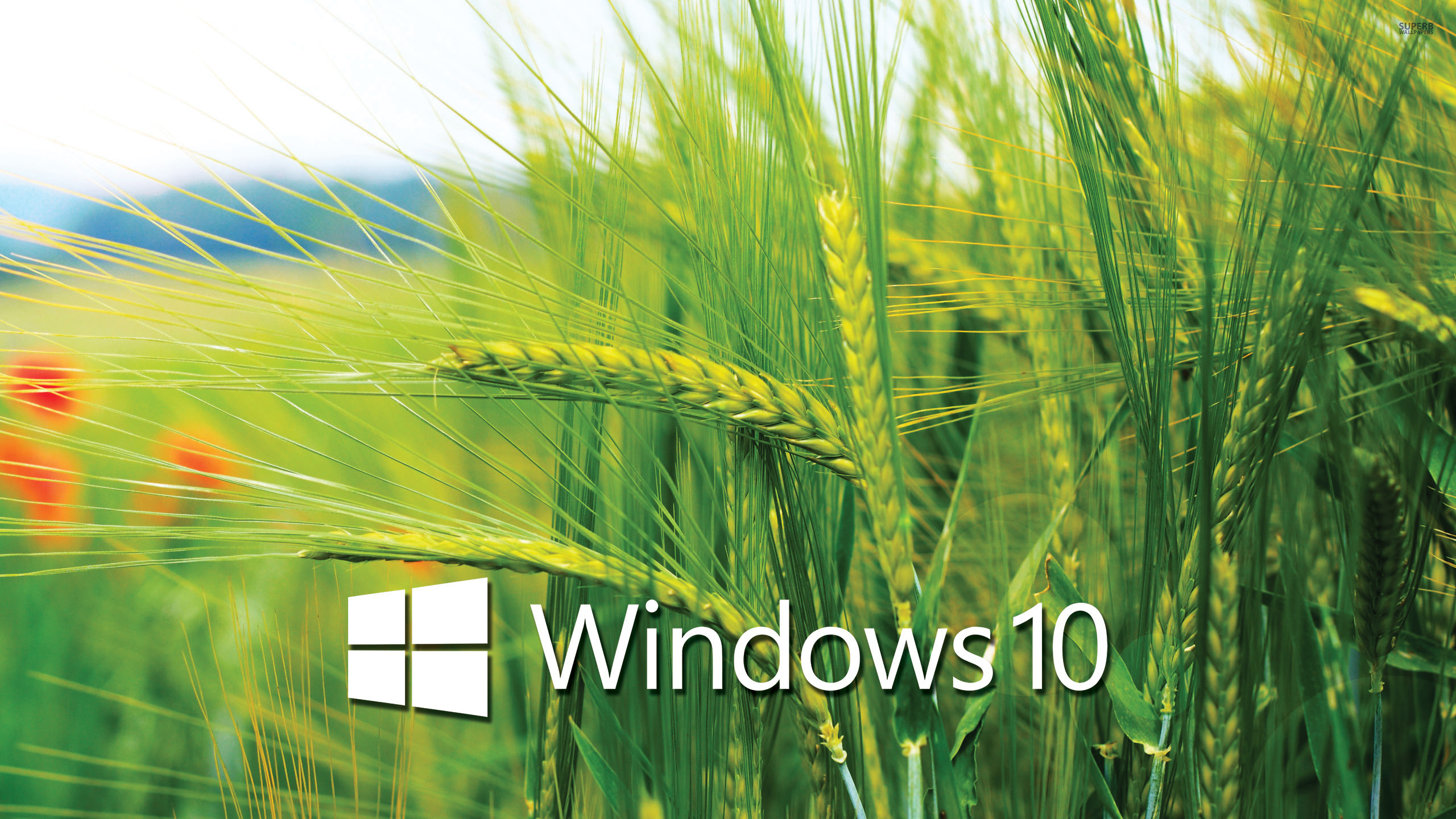 Windows 10 HD Wallpapers on WallpaperDog