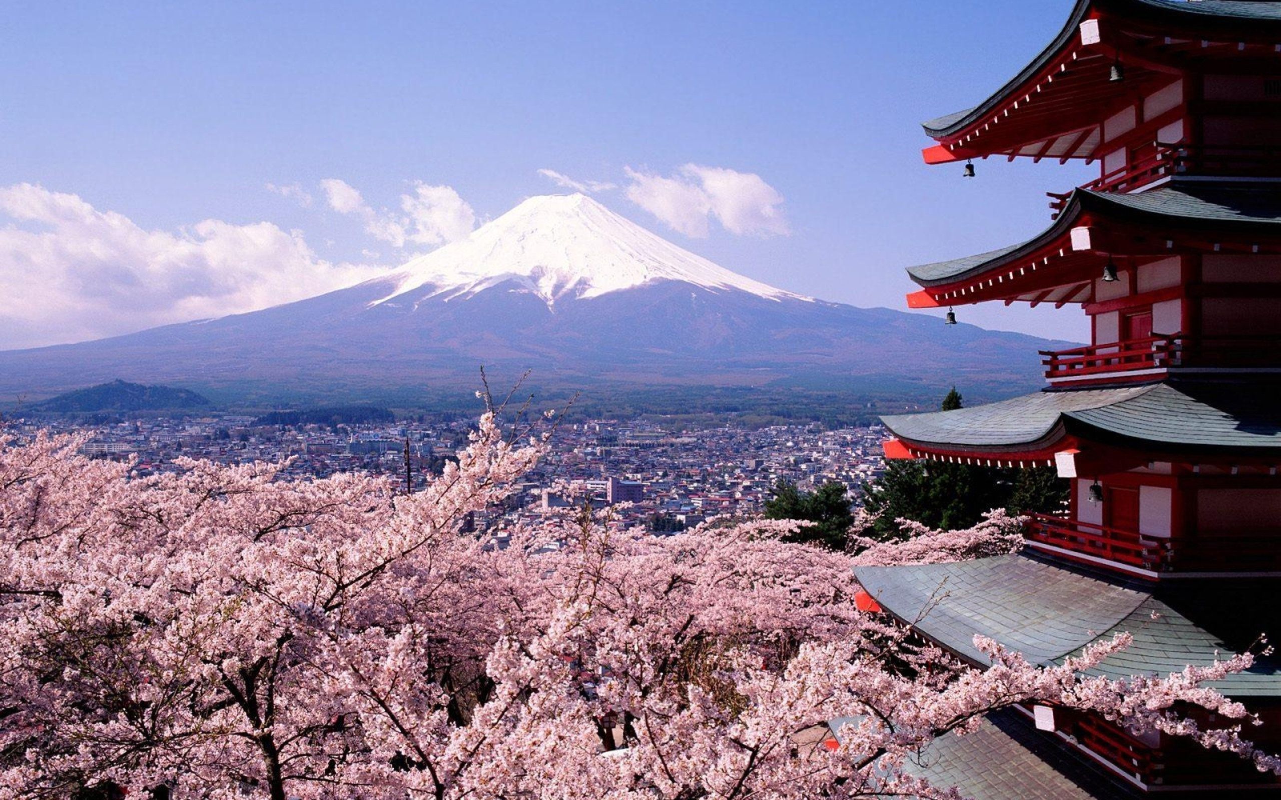 Nature Mount Fuji 4k Ultra HD Wallpaper