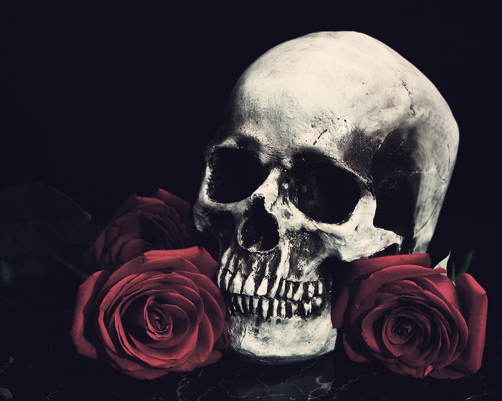 Share 57 skull with roses wallpaper latest  incdgdbentre