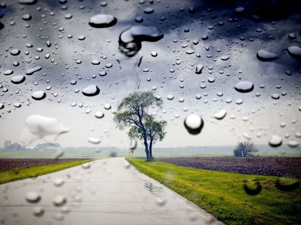 Rainy Day HD Wallpapers on WallpaperDog
