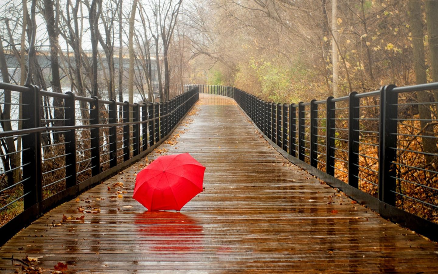 beautiful rainy day wallpapers for pc