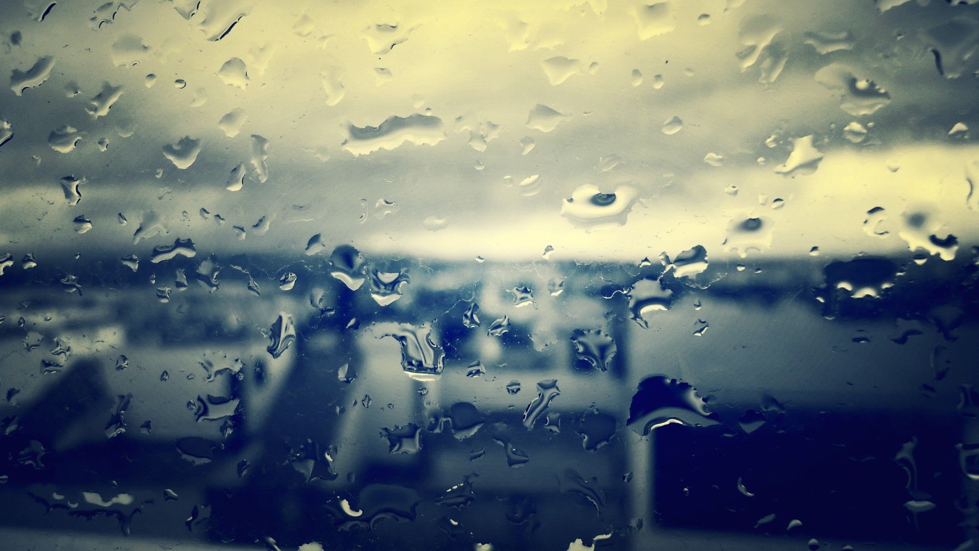 7,000+ Free Raindrops & Rain Images - Pixabay